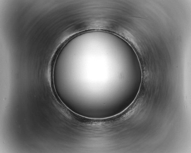 X0000093601035200710151217