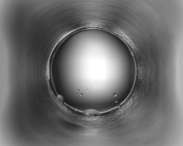 X0000093601036200710151217