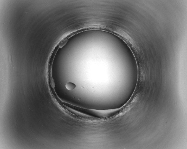 X0000093601038200710151217