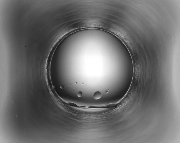 X0000093601039200710151217