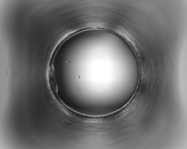 X0000093601040200710151217