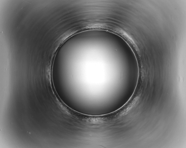 X0000093601041200710151217