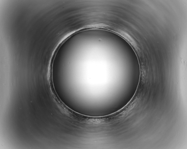 X0000093601044200710151217