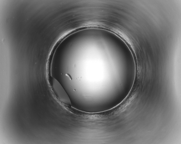X0000093601045200710151217