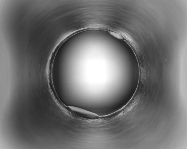 X0000093601046200710151217
