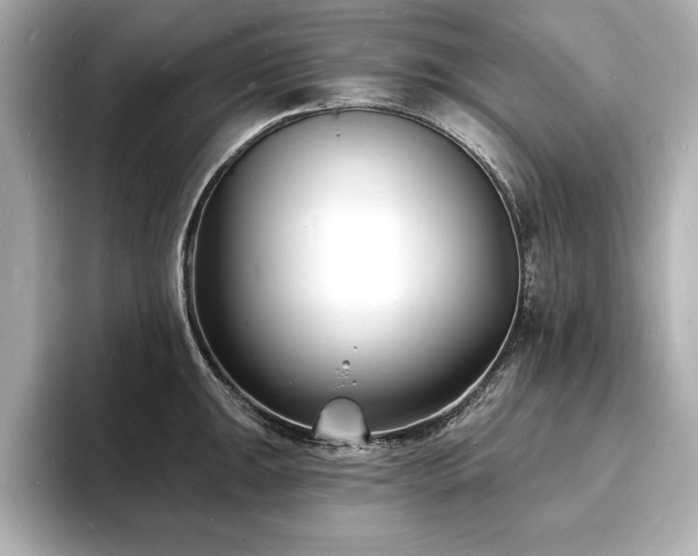 X0000093601047200710151217