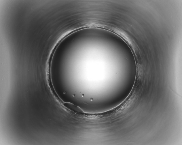 X0000093601048200710151217