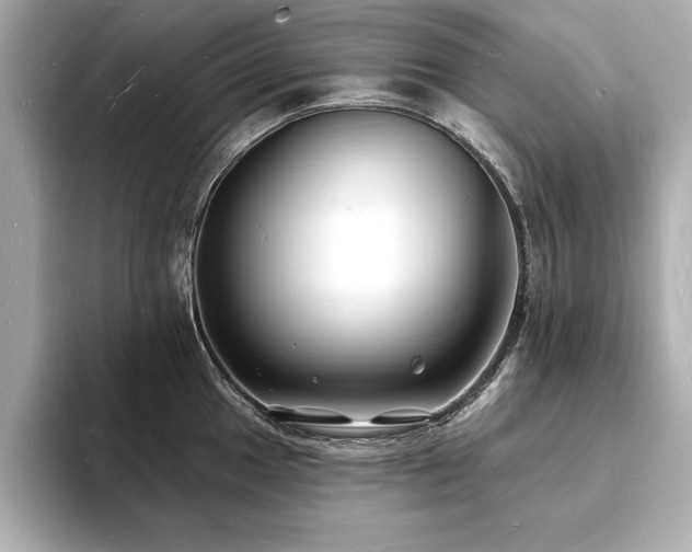 X0000093601049200710151217