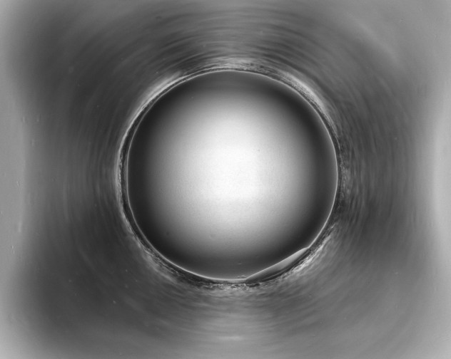 X0000093601050200710151217
