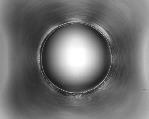 X0000093601051200710151217