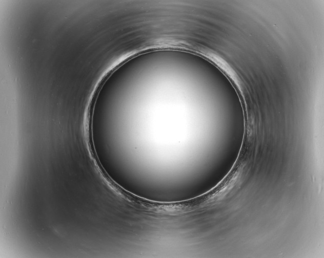 X0000093601053200710151217