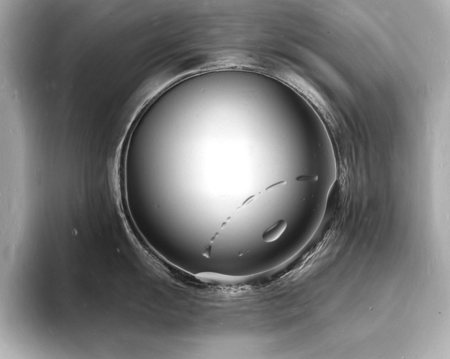 X0000093601055200710151217