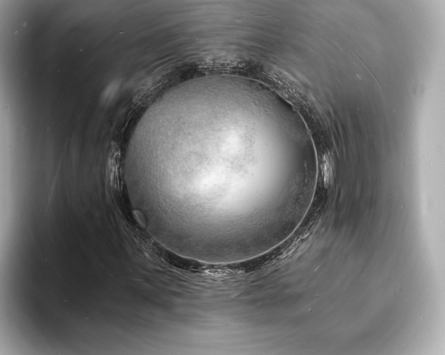 X0000093601059200710151217