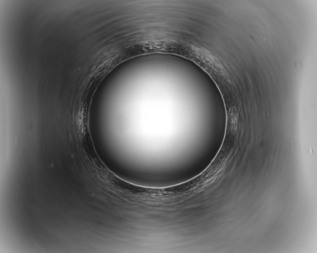 X0000093601060200710151217