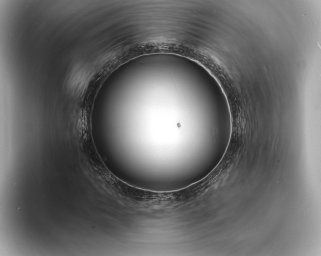 X0000093601062200710151217