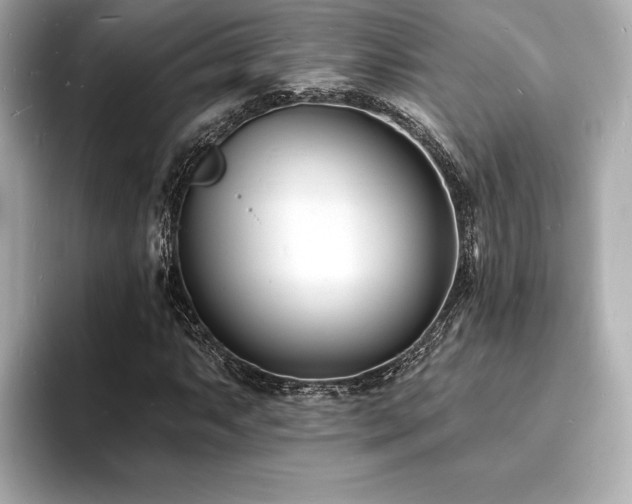 X0000093601063200710151217