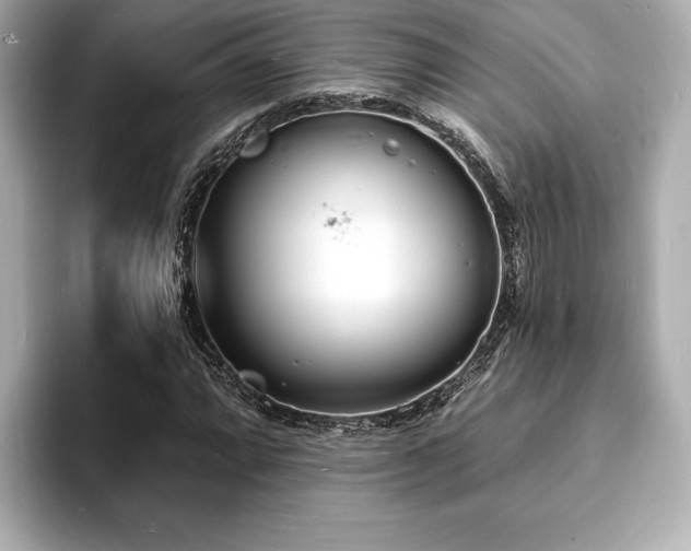 X0000093601064200710151217