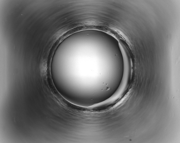 X0000093601065200710151217