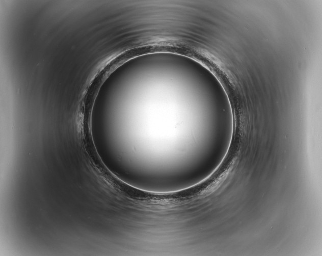 X0000093601066200710151217