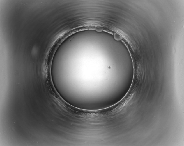 X0000093601067200710151217