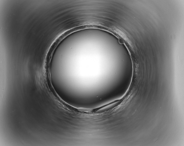 X0000093601068200710151217