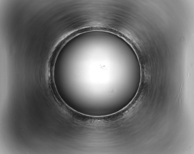 X0000093601070200710151217