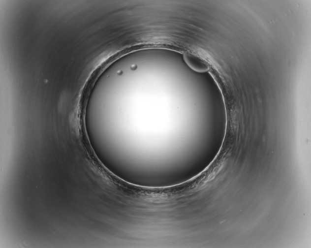 X0000093601071200710151217
