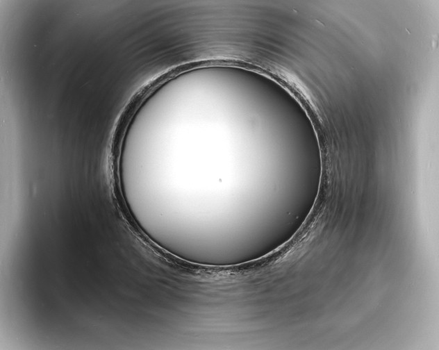 X0000093601072200710151217