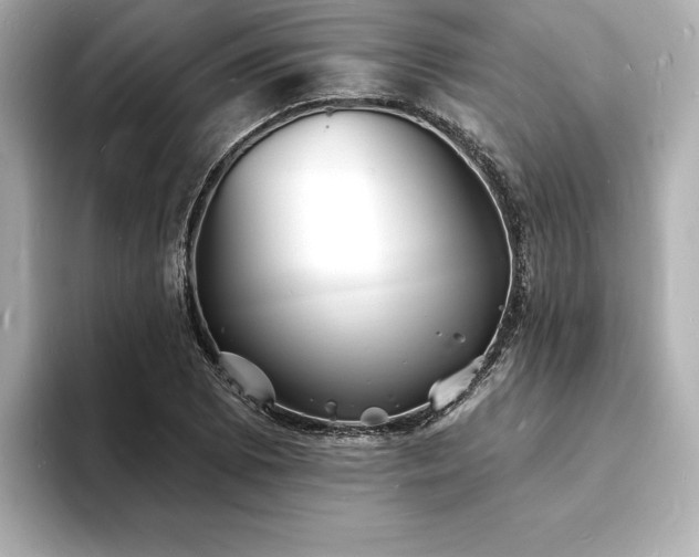 X0000093601073200710151217