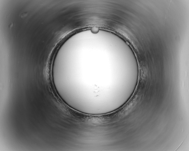 X0000093601074200710151217