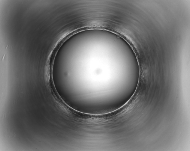 X0000093601075200710151217
