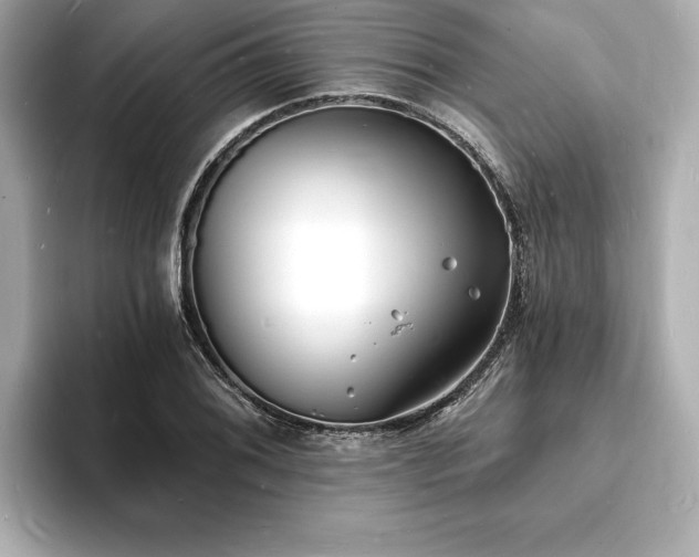 X0000093601076200710151217
