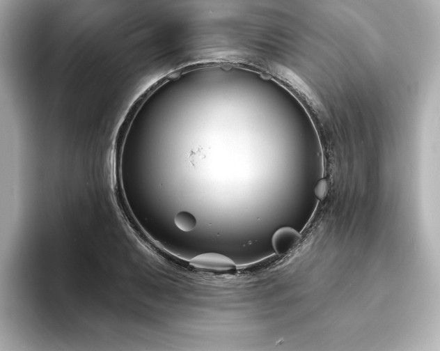 X0000093601079200710151217