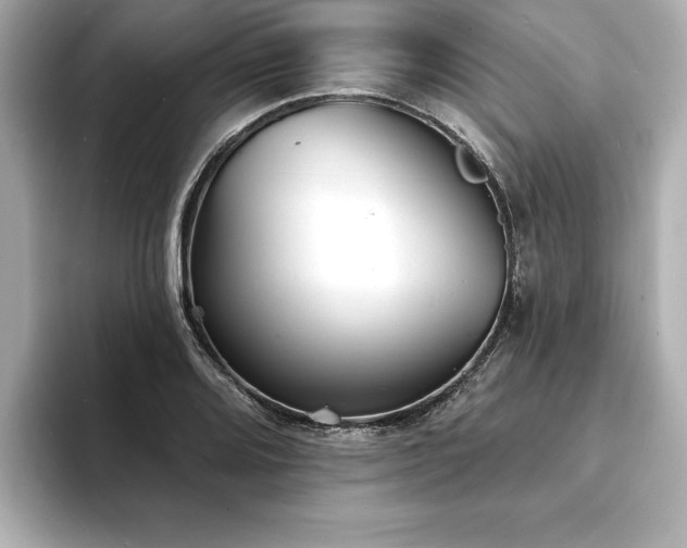 X0000093601080200710151217