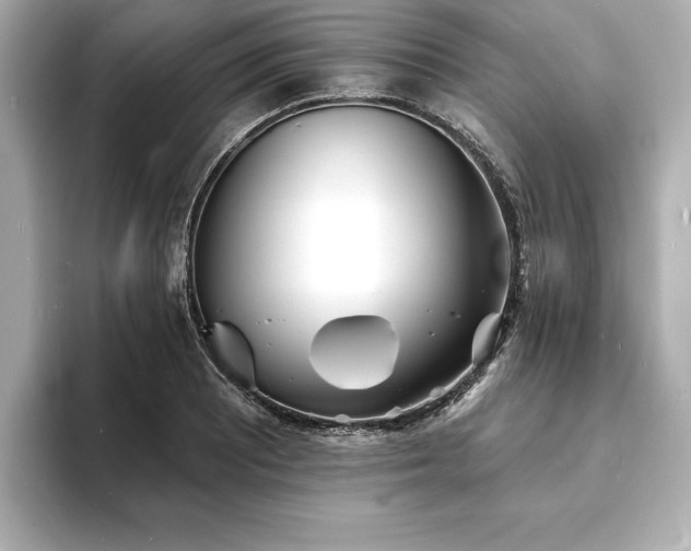 X0000093601081200710151216