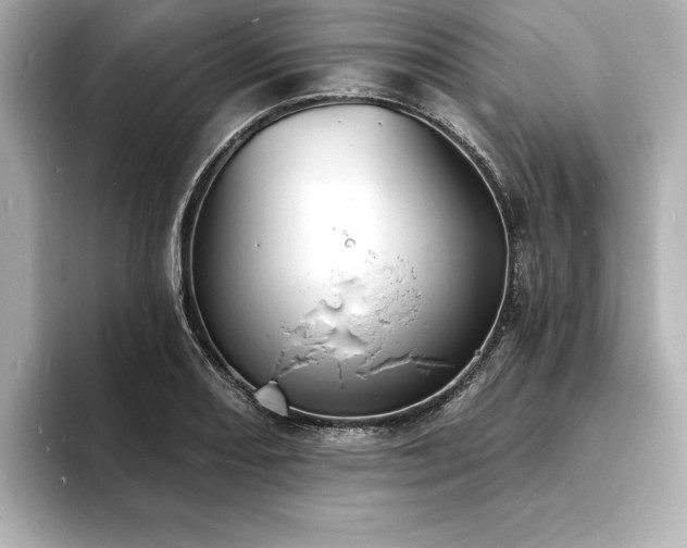 X0000093601082200710151216