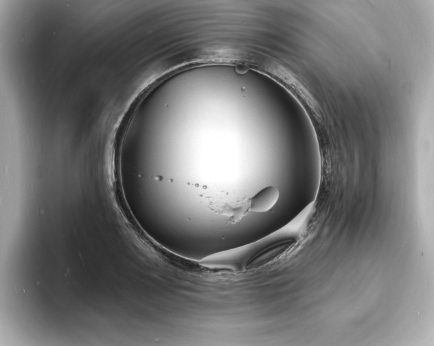 X0000093601083200710151216