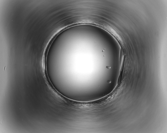 X0000093601084200710151216