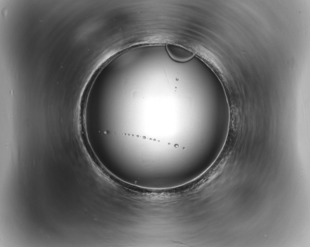 X0000093601087200710151216