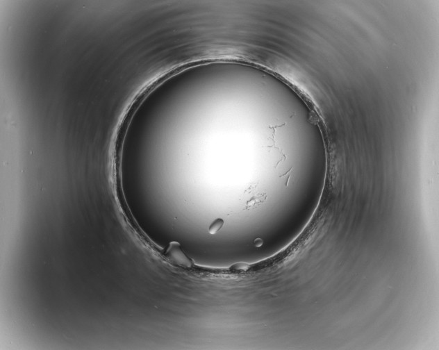 X0000093601088200710151216