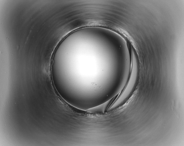 X0000093601089200710151216