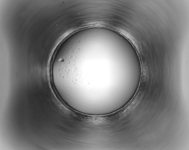 X0000093601090200710151216