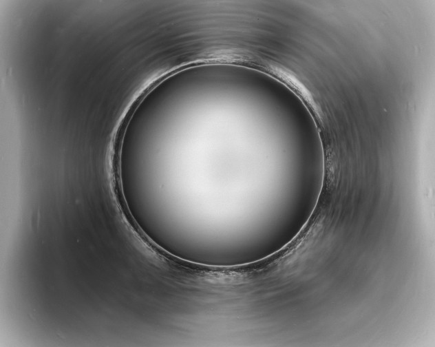 X0000093601091200710151216