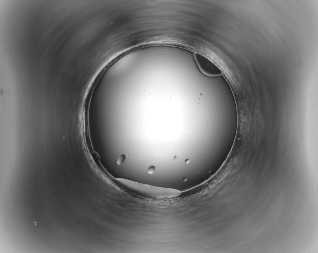 X0000093601092200710151216