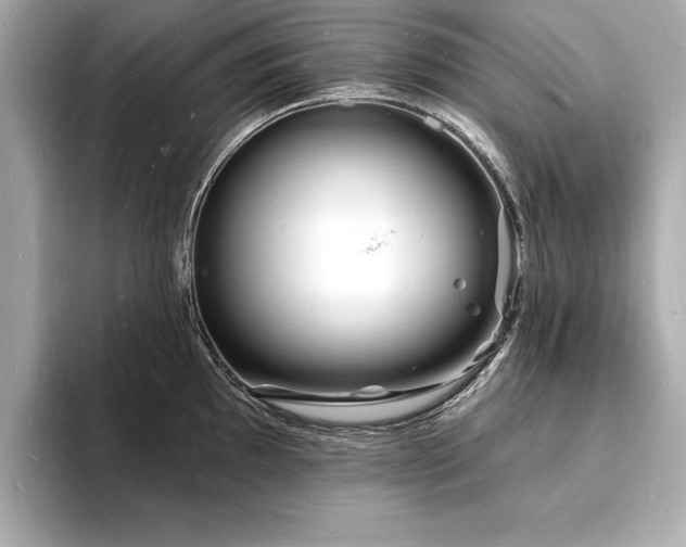 X0000093601097200710151216