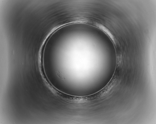 X0000093601099200710151216