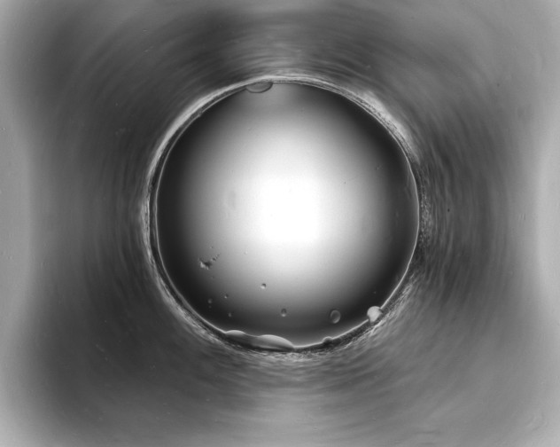 X0000093601100200710151216