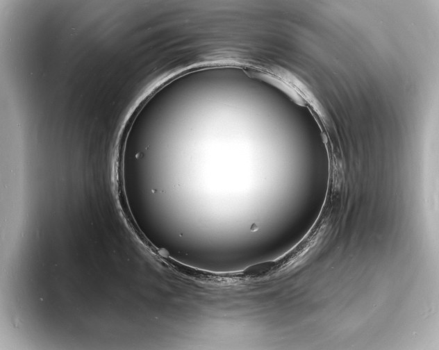 X0000093601101200710151216