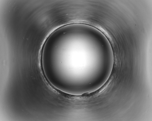 X0000093601102200710151216