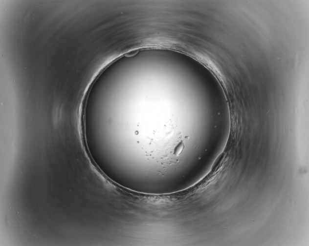X0000093601103200710151216